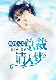 相擁入眠：總裁請入夢