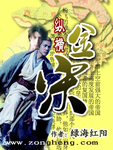 縱橫金宋