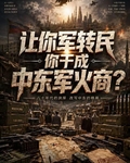 讓你軍轉民，你乾成中東軍火商？