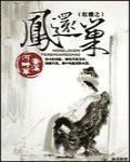 紅樓之鳳還巢